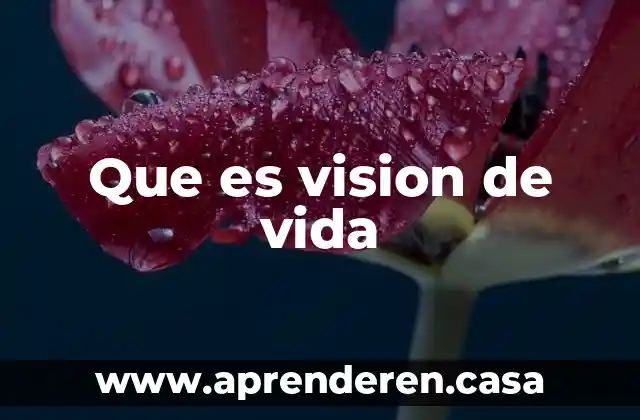 Que es vision de vida