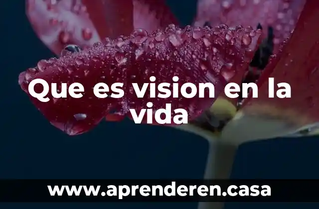 Que es vision en la vida