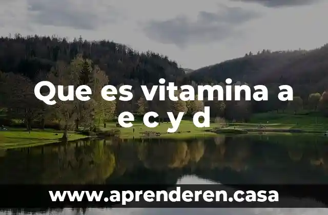 Que es vitamina a e c y d
