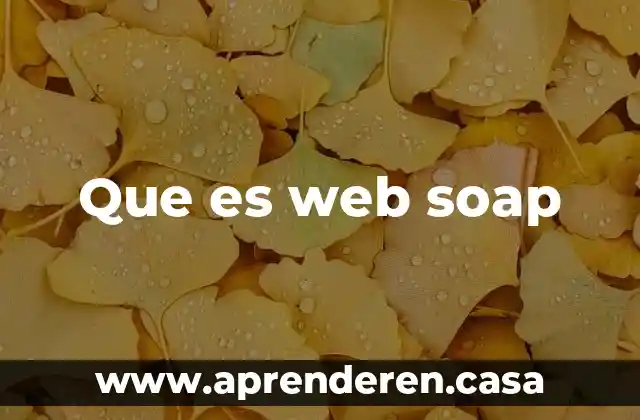 Que es un nacvegador web 7 Que es web soap