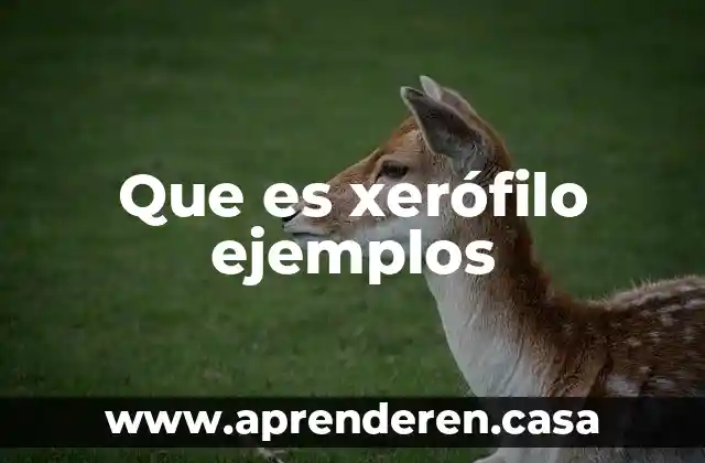 Que es xerófilo ejemplos