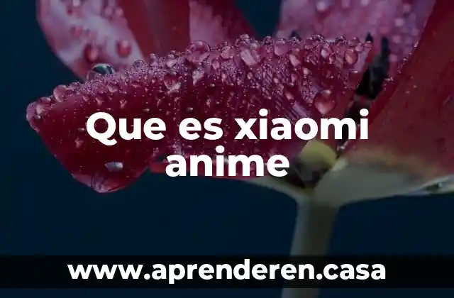 Que es xiaomi anime