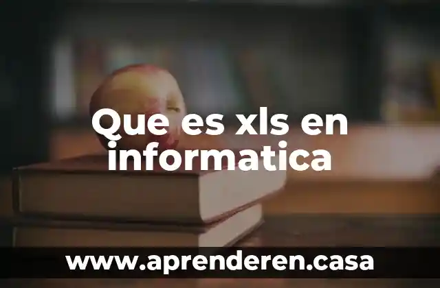 Que es xls en informatica