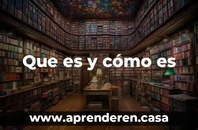 Que es y cómo es