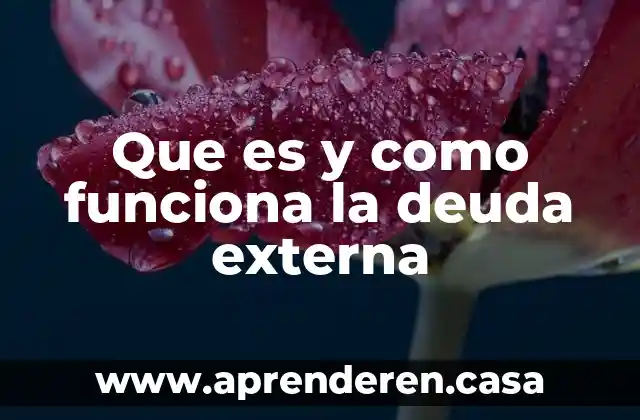 Que es y como funciona la deuda externa