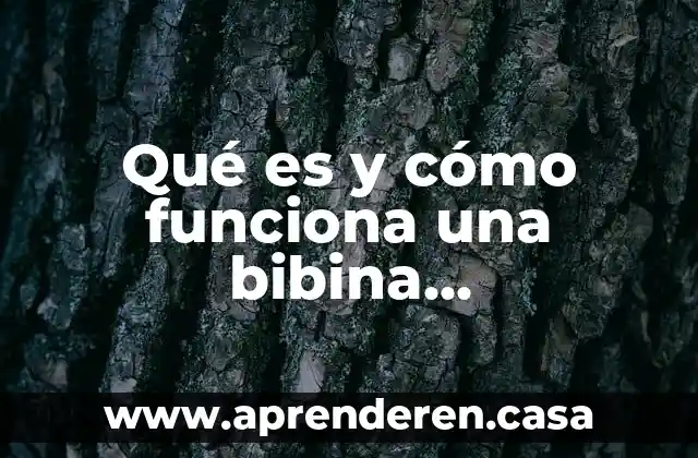 Qué es y cómo funciona una bibina electromagnética