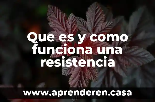Que es y como funciona una resistencia