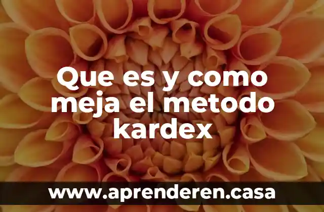 Que es y como meja el metodo kardex