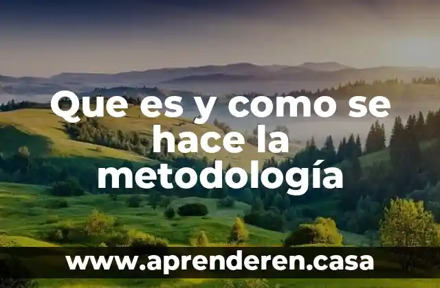 Que es y como se hace la metodología