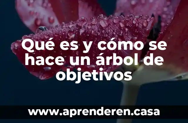 Qué es y cómo se hace un árbol de objetivos
