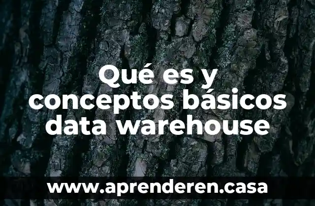 Qué es y conceptos básicos data warehouse