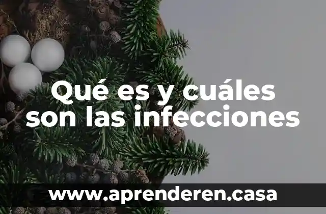 Qué es y cuáles son las infecciones