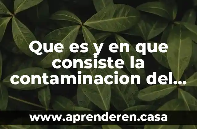 Que es y en que consiste la contaminacion del agua
