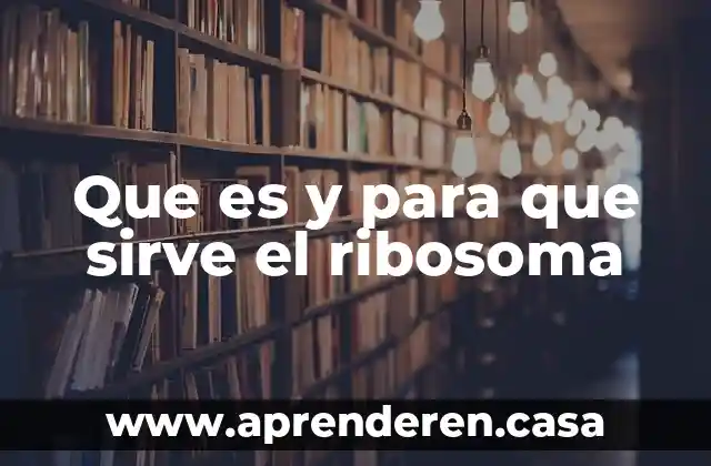 Femafee que es y para que sirve 6 Que es y para que sirve el ribosoma