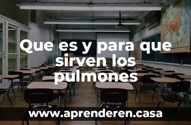 Que es y para que sirven los pulmones