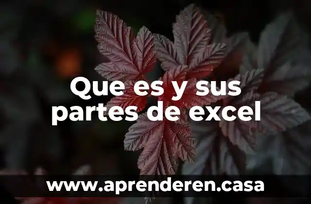 Que es y sus partes de excel
