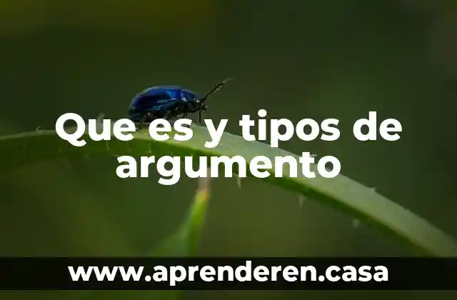 Que es y tipos de argumento