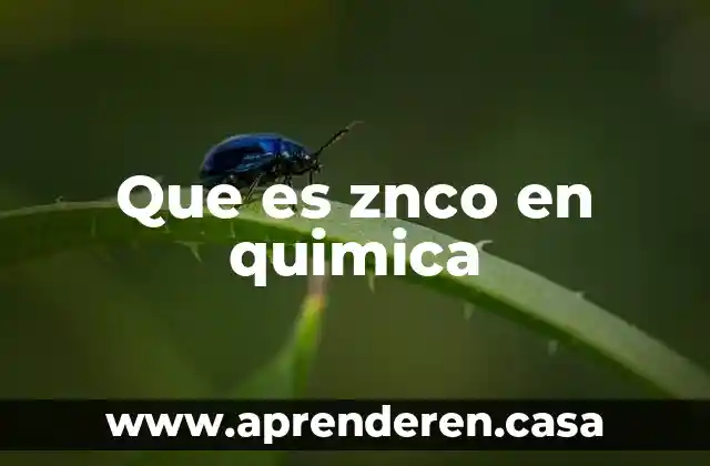 Qué es liderazgo de bajo costo 7 Que es znco en quimica