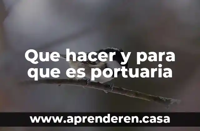 Que hacer y para que es portuaria