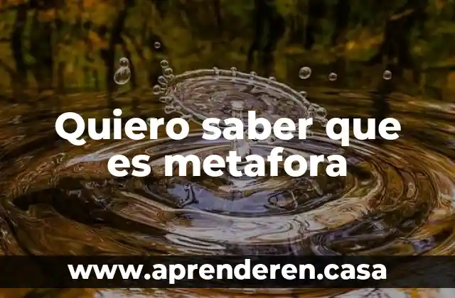 Encuestas para saber qué es lo que quiero estudiar 3 Quiero saber que es metafora