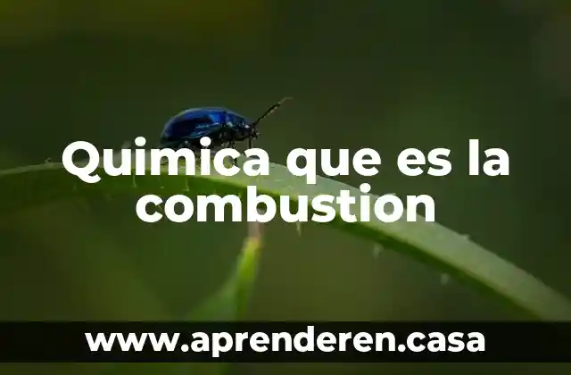 Que es la densidad colegio de quimica 3 Quimica que es la combustion