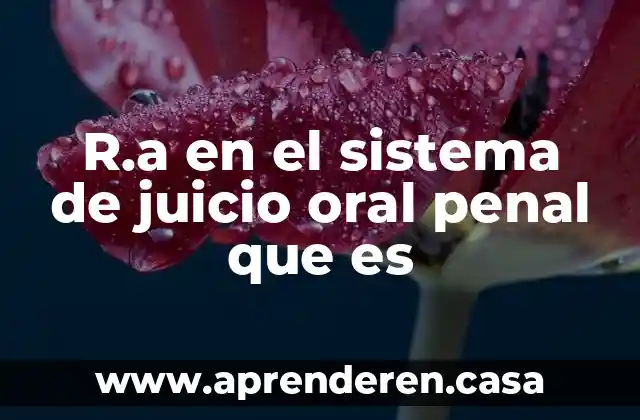 R.a en el sistema de juicio oral penal que es