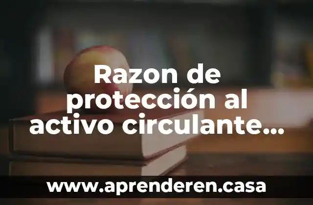 Razon de protección al activo circulante que es