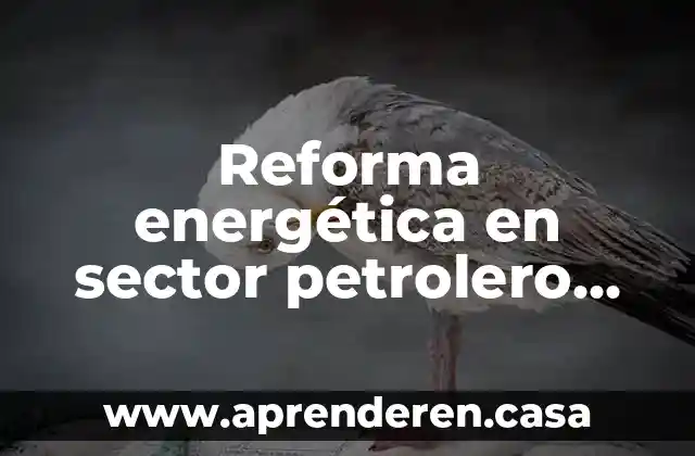 Reforma energética en sector petrolero que es y como funciona