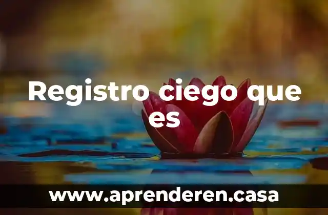 Registro ciego que es