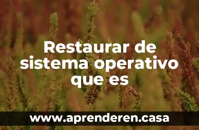 Que es un manual tecnico u operativo 7 Restaurar de sistema operativo que es