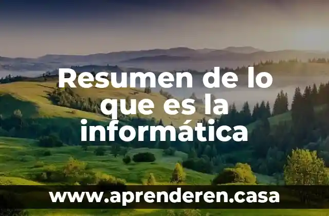 Resumen de lo que es la informática