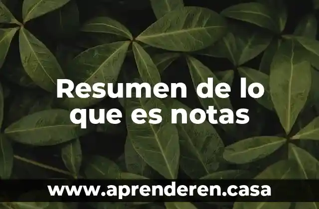 Resumen de lo que es notas