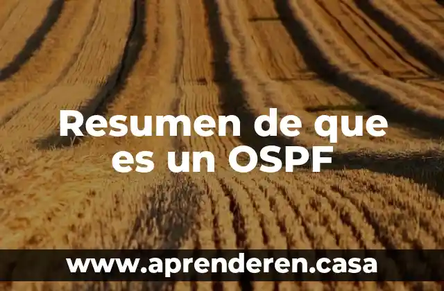 Que es la autoafirmacion resumen 5 Resumen de que es un OSPF
