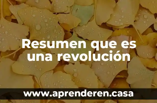 Resumen que es una revolución
