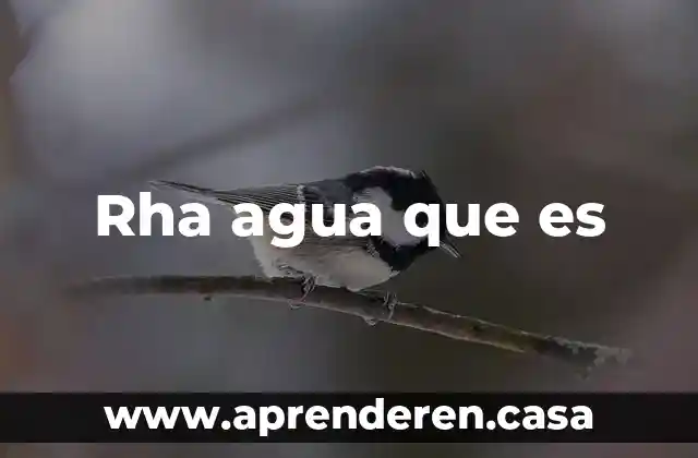 Rha agua que es