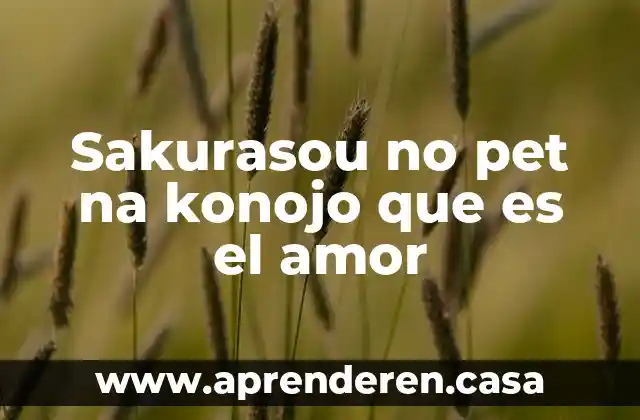 Sakurasou no pet na konojo que es el amor