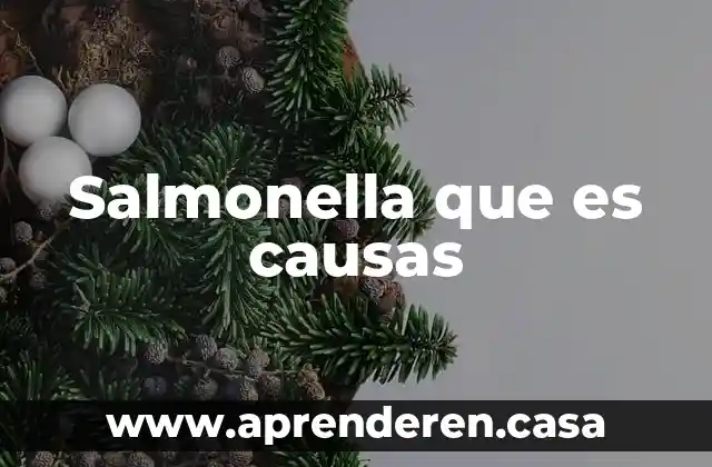 Salmonella que es causas