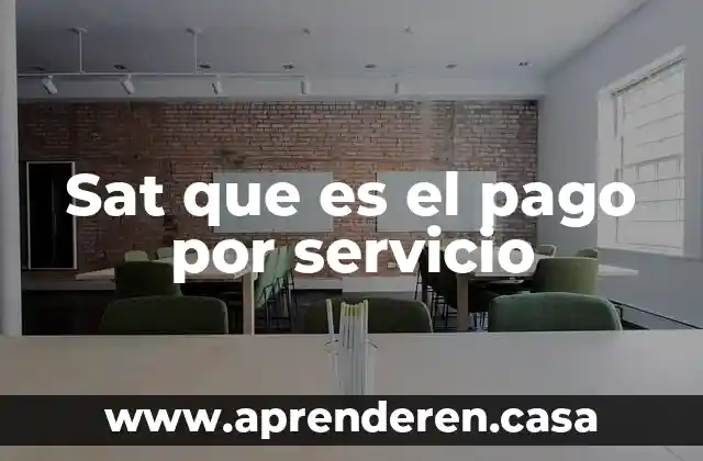 Sat que es el pago por servicio