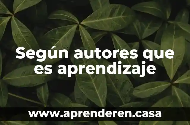 Según autores que es aprendizaje