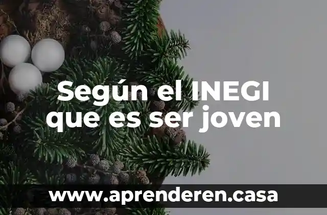 Según el INEGI que es ser joven