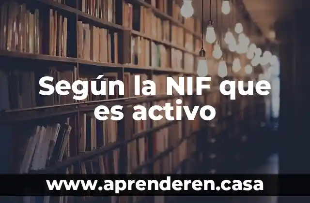 Según la NIF que es activo