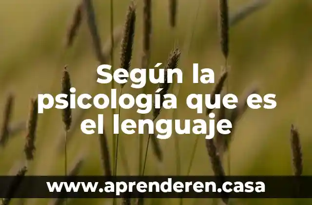Según la psicología que es el lenguaje