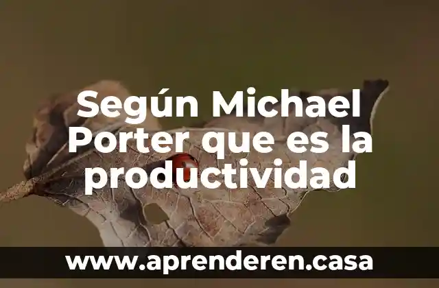 Según Michael Porter que es la productividad