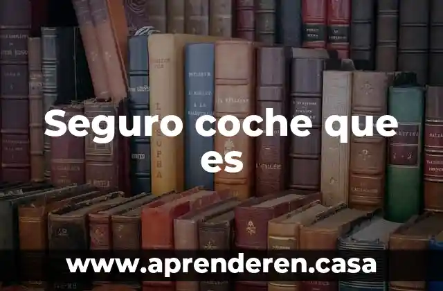 Seguro coche que es