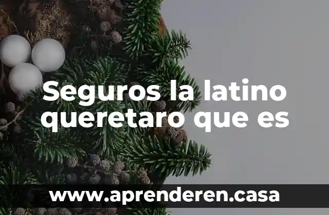 Seguros la latino queretaro que es