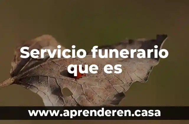 Servicio funerario que es