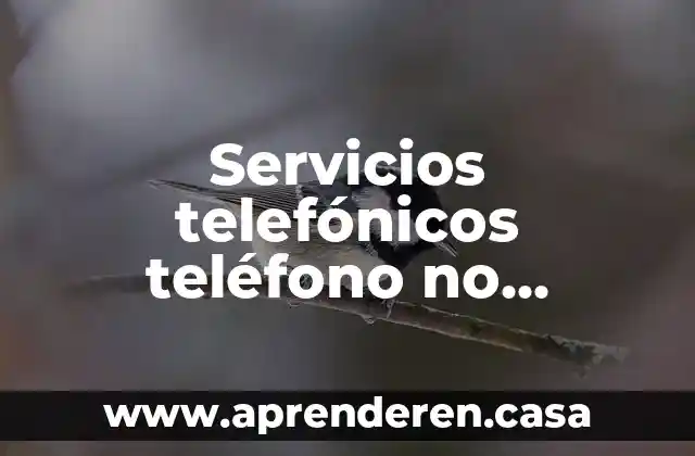Servicios telefónicos teléfono no permitido Motorola que es