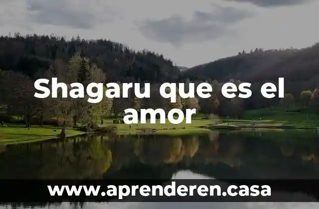 Shagaru que es el amor