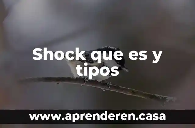 Shock que es y tipos