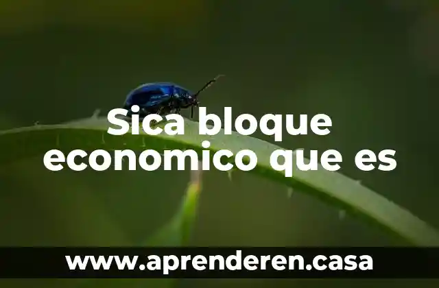 Sica bloque economico que es
